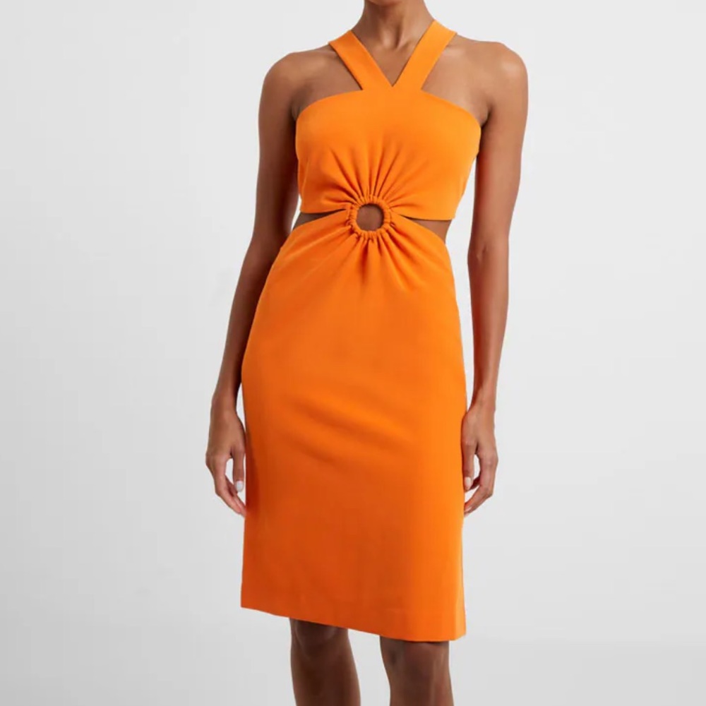 French Connection Side Cut-Outs O-Ring Halter Neck Echo Dress -Size 4 - Picture 3 of 12
